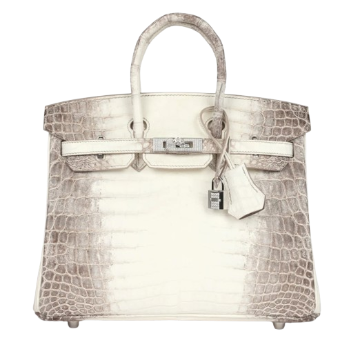 Hermès Birkin 25 - Himalayan